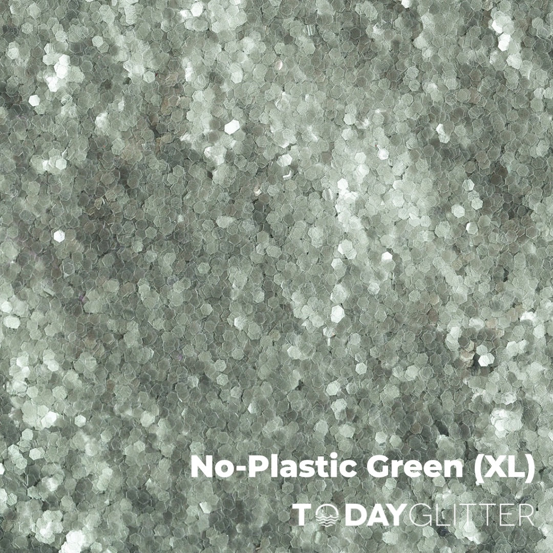 Biodegradable Glitter- 100% plastic free-  Dust Glitters – Wise