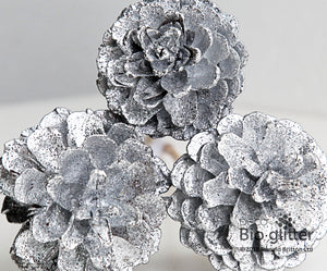 Deco Argentum Silver