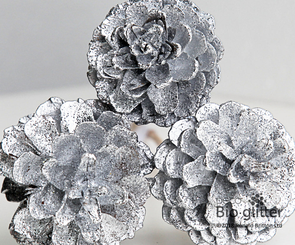 Load image into Gallery viewer, No-Plastic Deco Silver