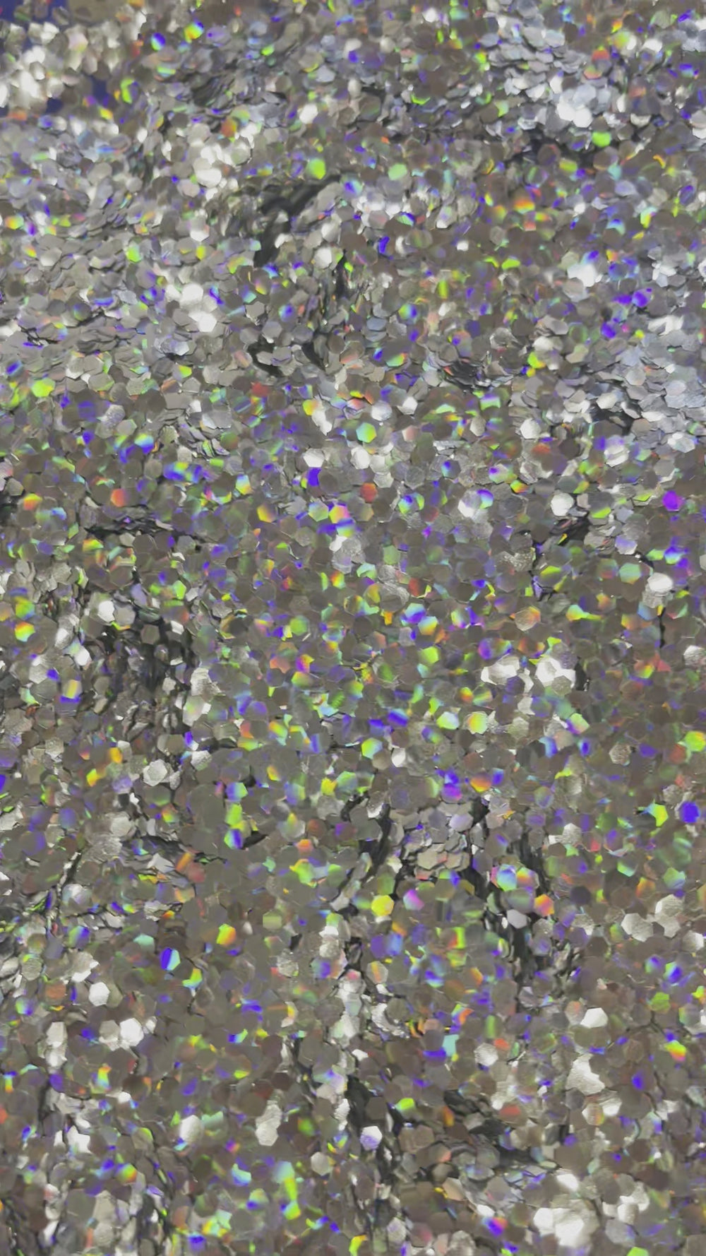 Load image into Gallery viewer, Silver HOLO - Small