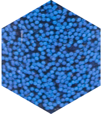 Deco Dark Blue