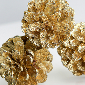 Pinecone_Karat_Gold_Today_Glitter